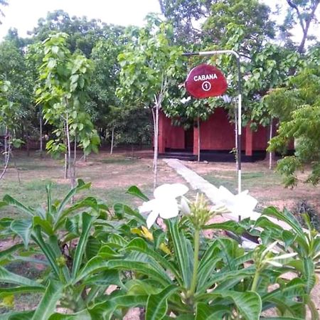 Lavish Eco Jungle Hotel Tissamaharama Luaran gambar