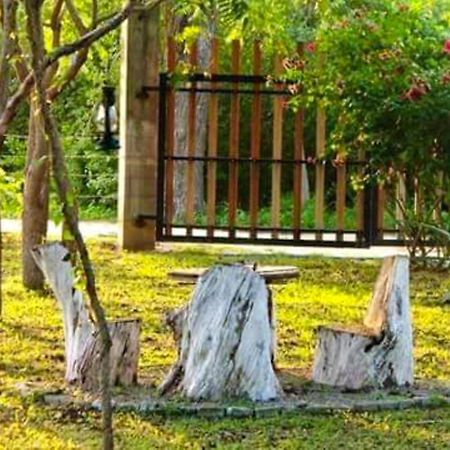 Lavish Eco Jungle Hotel Tissamaharama Luaran gambar