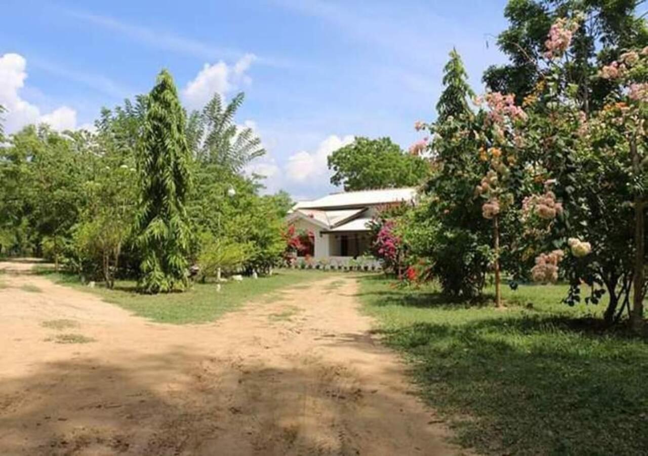 Lavish Eco Jungle Hotel Tissamaharama Luaran gambar