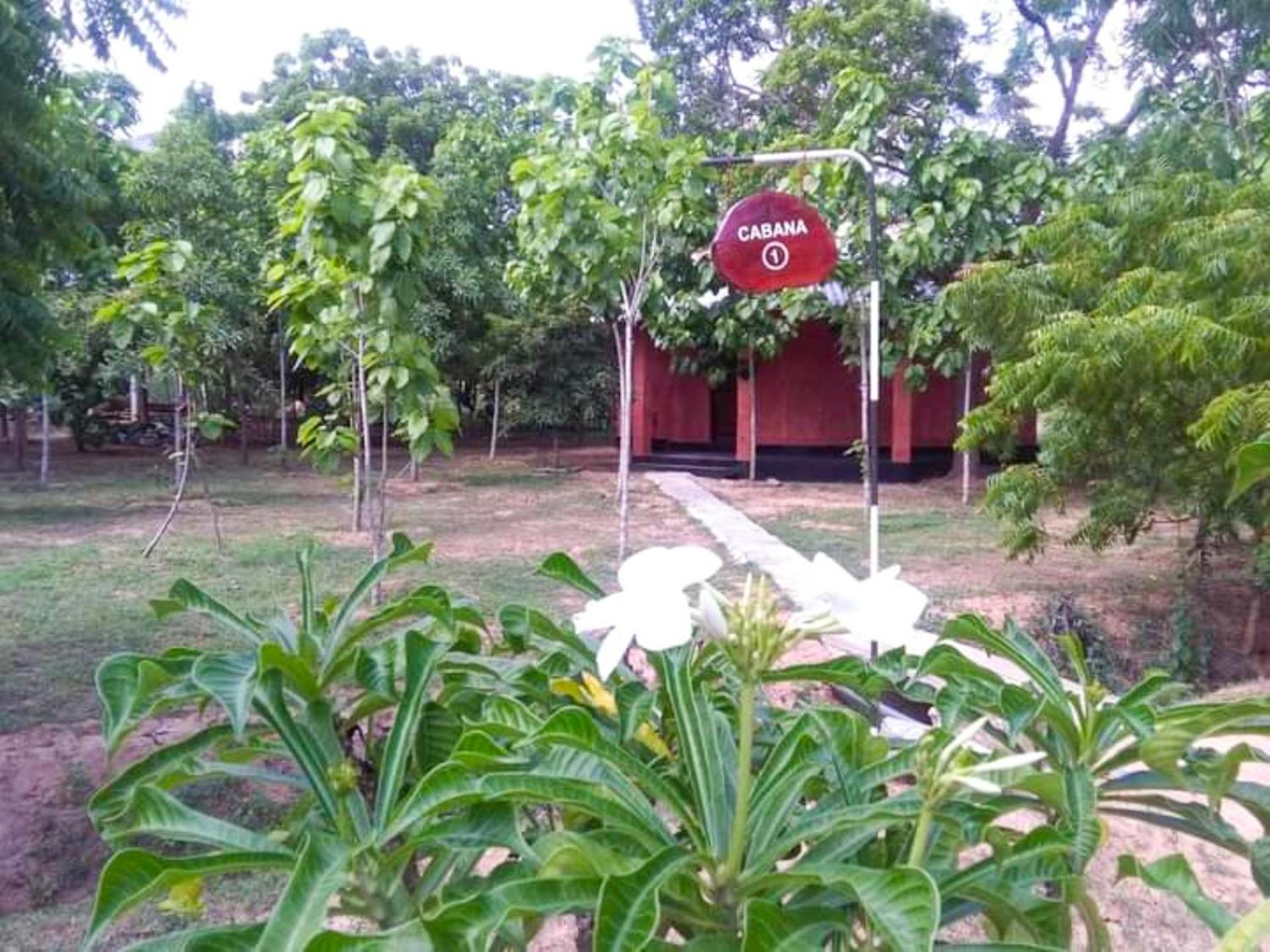 Lavish Eco Jungle Hotel Tissamaharama Luaran gambar