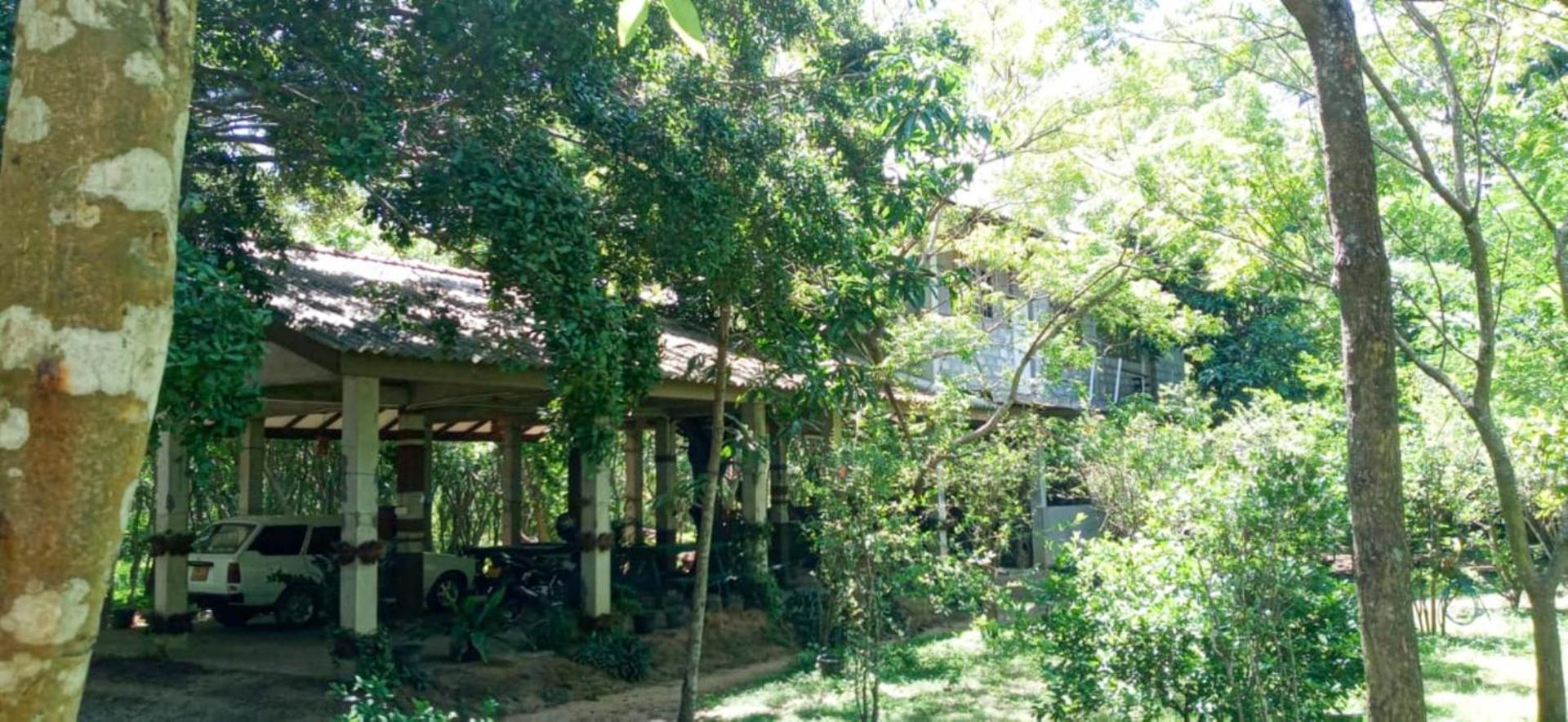 Lavish Eco Jungle Hotel Tissamaharama Luaran gambar