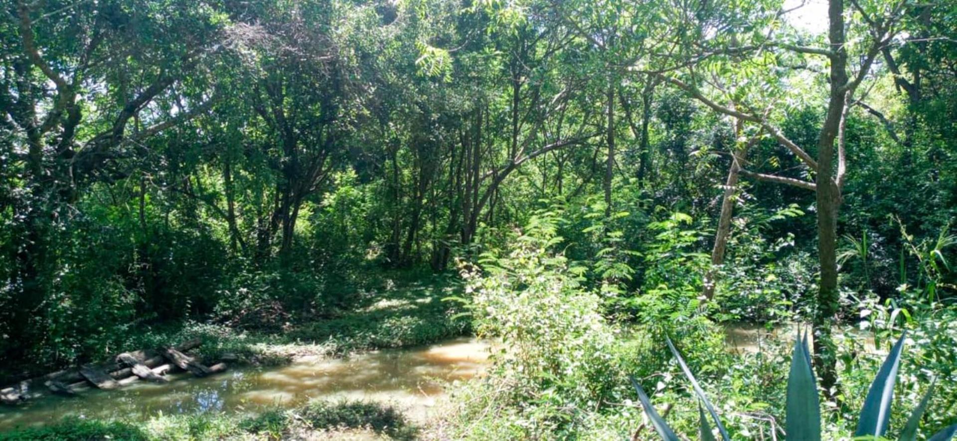 Lavish Eco Jungle Hotel Tissamaharama Luaran gambar