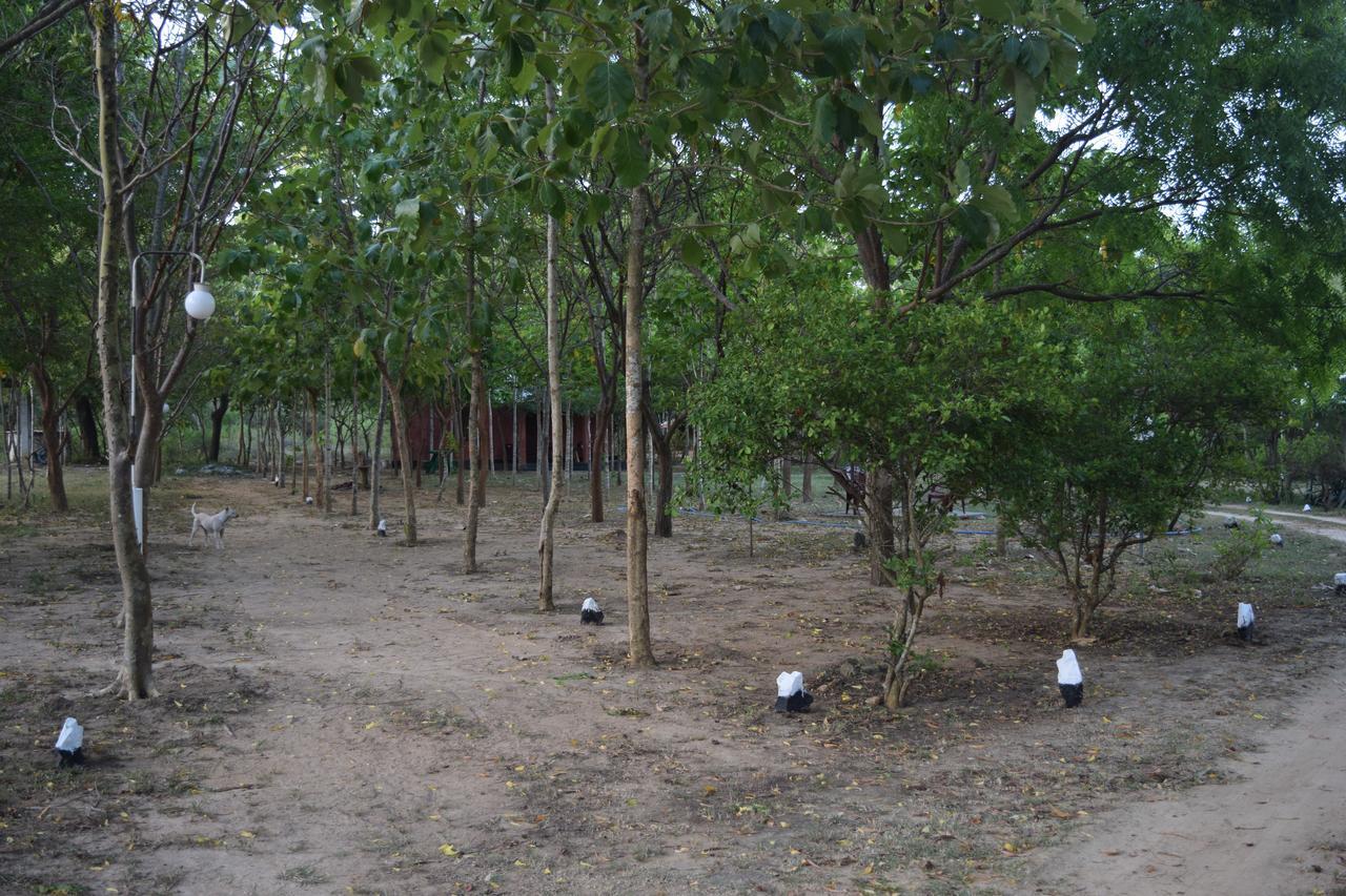 Lavish Eco Jungle Hotel Tissamaharama Luaran gambar