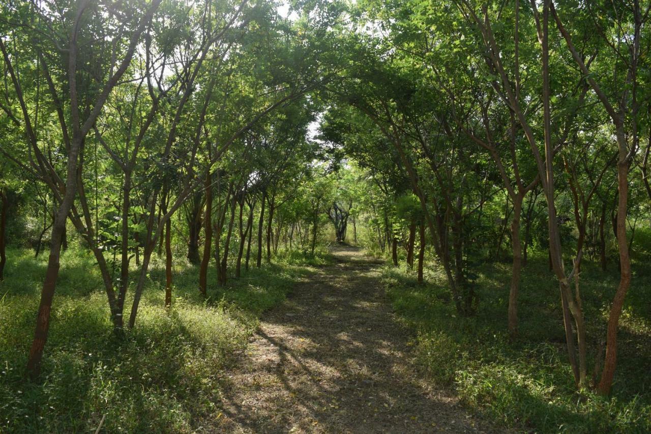 Lavish Eco Jungle Hotel Tissamaharama Luaran gambar